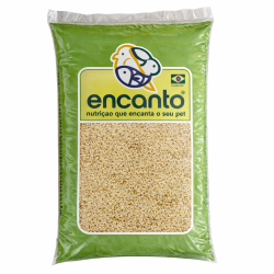 Aveia Branca, Sem Casca 10kg - Encanto