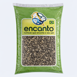 Girassol Graúdo 06 KG - Encanto