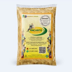 Painço Português 05 KG - Encanto 