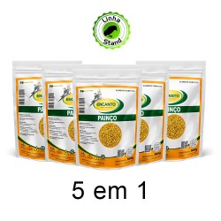 Fardo Painço Comum 05x500 KG Encanto