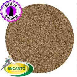 Painço Português 05 KG - Encanto 