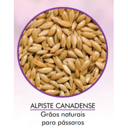 Alpiste Importado 10KG - Encanto