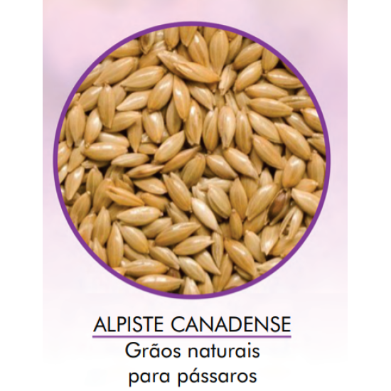 Alpiste Importado 10KG - Encanto