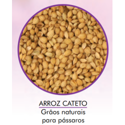 Arroz Cateto 500g - Encanto 