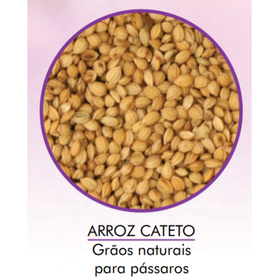Arroz Cateto 05 KG - Encanto 