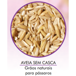 Aveia Branca, Sem Casca 10kg - Encanto