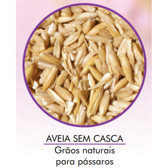 Aveia Branca, Sem Casca 10kg - Encanto
