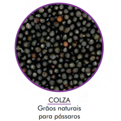 Colza 05KG - Encanto 