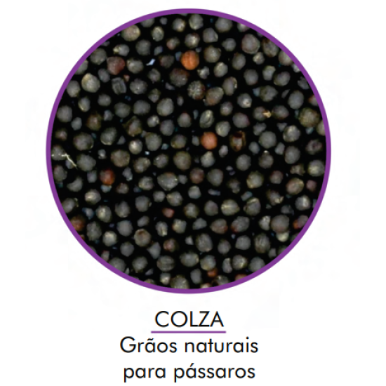 Colza 05KG - Encanto 