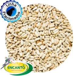 Girassol Cartamo 0,400 KG Encanto 